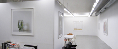 Caos Apollineo - Fotografie di Gabriele Jardini - allestimento mostra