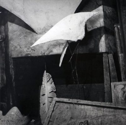 Joan Fontcuberta, “L’Ange Déchu”, 1980 cm 35,7×35,7